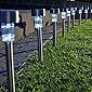Inditradition Solar Powered Garden Pathways LED Light | Solar Garden Light (Stainless Steel Body, White) | Pack of 10