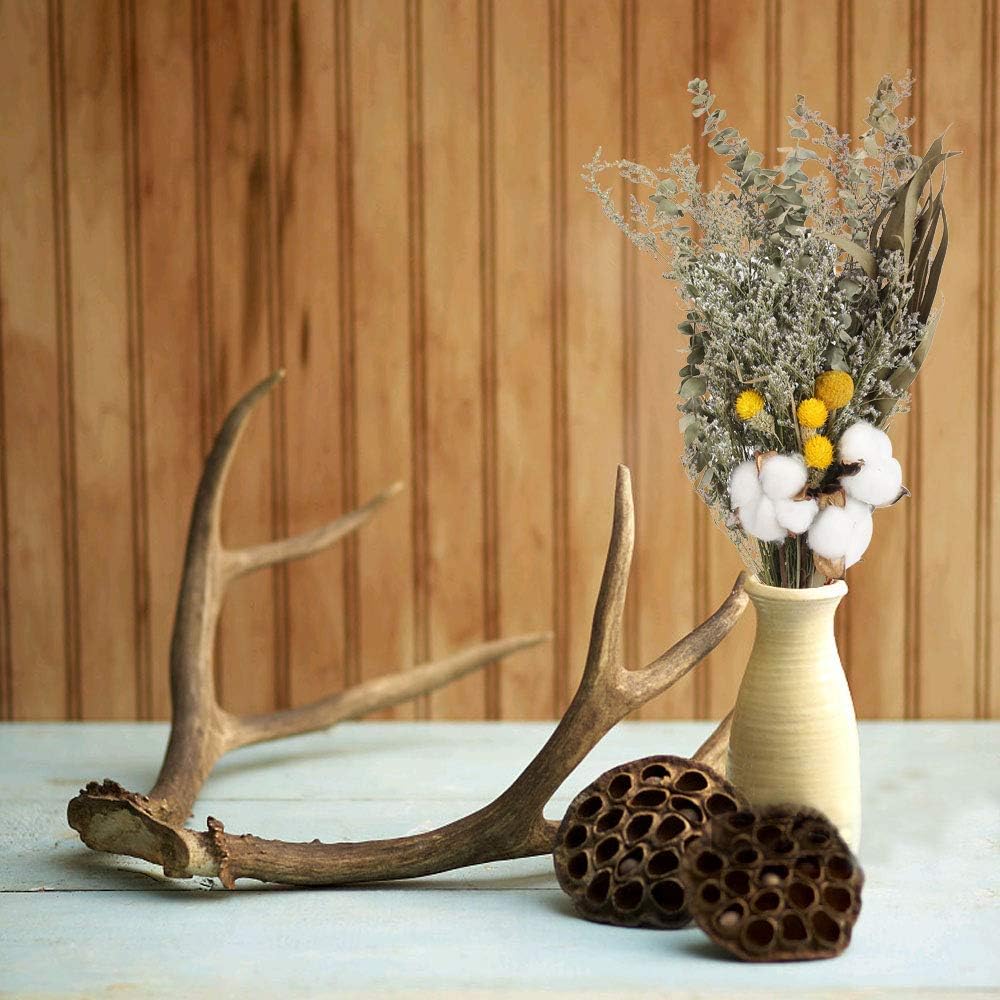 Amazon Com Xhxstore Dried Flowers Bouquet Natural Dried Cotton Billy Ball Flowers Artificial Fake Cotton Flowers Eucalyptus Grass Flower Bouquet For Diy Home Vase Wedding Party Photography Props Decor Kitchen Dining
