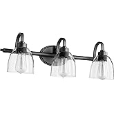 Quorum 5060-3-69 Transitional Three Light Vanity from Reyes Collection in Bronze/Dark Finish,