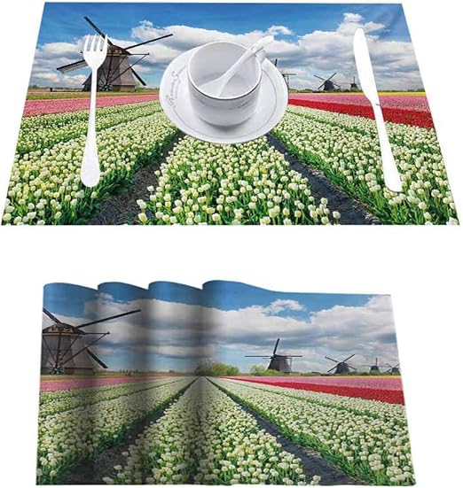 Manteles individuales de cocina resistentes al calor, lavable