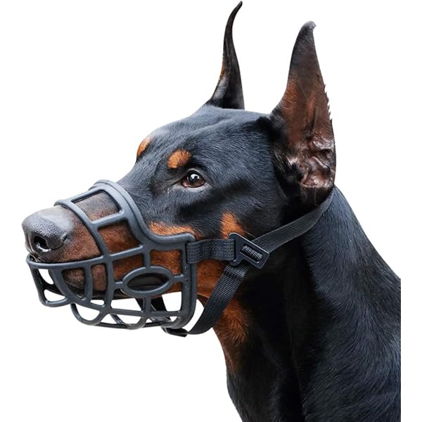 dog muzzles petbarn