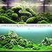 Luffy Wild Christmas Moss in Loose Form Lush, Green Moss for Aquarium Decor - Create a Moss Wall or Moss Carpet - Soft and Comforting for Fish - Shrimp's & Fry's Food