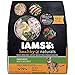 IAMS Healthy Naturals Chicken Recipe Dry Cat Food 13.5 Pounds (Discontinued by Manufacturer)