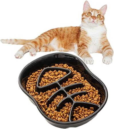 amazon cat slow feeder