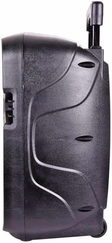 ridgeway rechargeable speaker system with trolley