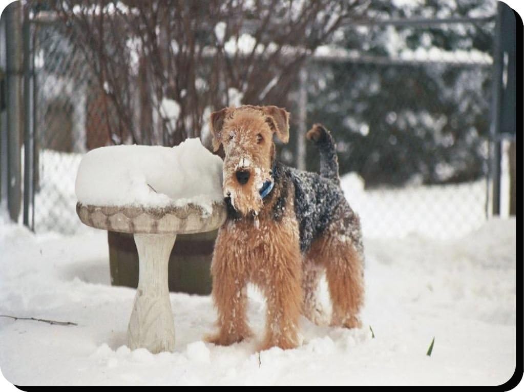 The Lazy Cow Airedale Terrier DOG MOUSE MAT/PAD – Unique gift for all doggy lovers 5