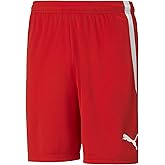 Puma Mens Teamliga Shorts
