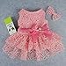 Fitwarm Luxury Pink Lace Dog Tutu Dress Pet Wedding Clothes Shirts + Matching Hair Clip, Pink, Small