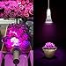 Grow Light, LED Grow Plant Light Bulb, UTTERBEST Grow Lights Full Spectrum Grow lamp for Hydroponic Plants, Succulent Plant, Flowering Plant Vegetables, Greenhouse Organic, Pack of 1(28W E26)