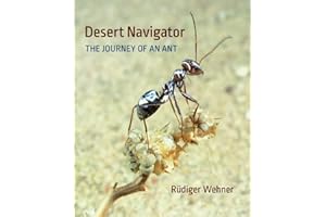 Desert Navigator: The Journey of an Ant