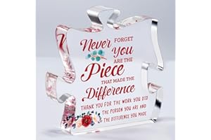 OCCDESIGN Coworker Leaving Gifts for Women Farewell Going Away Goodbye Gifts for Coworker, Retirement Appreciation Gifts for Teacher Social Worker Nurse Inspirational New Job Office Gifts Desk Signs Plaque