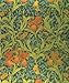 Designs of William Morris (Phaidon Miniature Editions)
