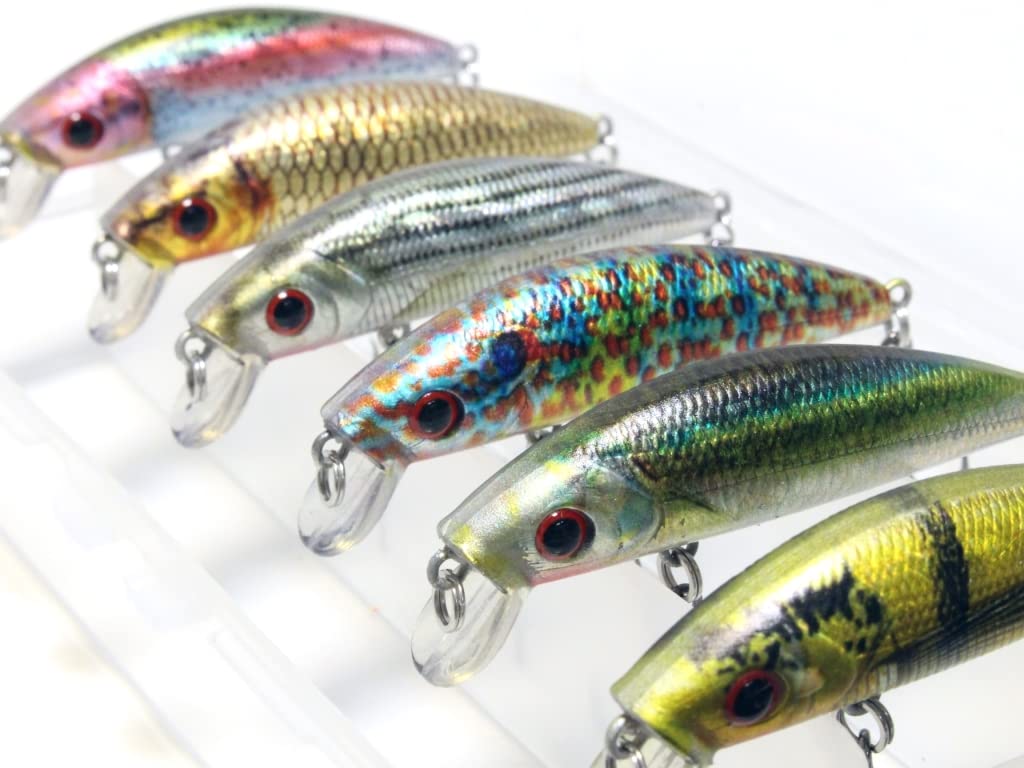 wLure Minnow Crankbait for Bass Fishing Bass Lure Jerkbait Fishing Lure (HM219KB, with Tackle Box)