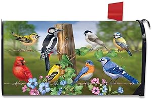 Briarwood Lane Country Birds Spring Magnetic Mailbox Cover Finches Blue Jay Standard
