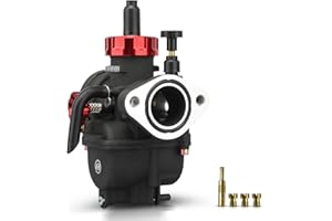 NIBBI PE22 mm Flange Carburetor,Fits 110cc 125cc 140cc Motorcycle Engines Replacement for ATV/UTV Mini Bike Dirt Bike Pit Bik