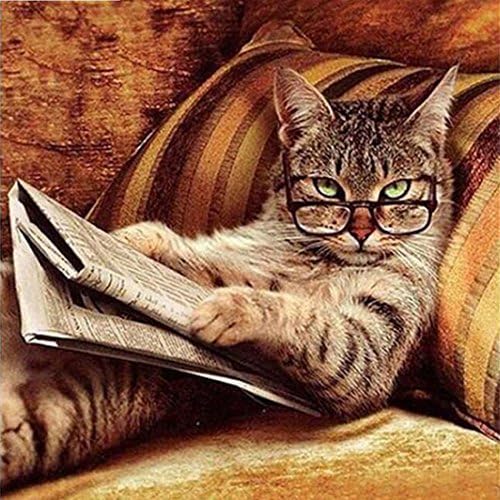 21secret 5D Diamond Diy Painting Full Round Drill Handmade Cat in Glasses Reads the Newspaper Cross Stitch Home Decor Embroidery Kit