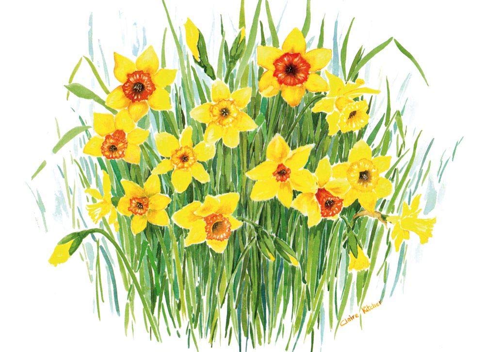 Daffodil Glass Board Medium 40X30Cm