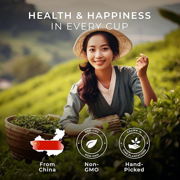 GYA TEA CO CLASSIC OOLONG POD (16 CT) – MILDLY CAFFEINE TEA WITH FLORAL & TOASTY FOR UNWINDING OR REFRESHING KICKSTART THE DAY