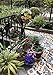 D-Fokes Handcrafts Vintage Metal Watering Pot Sunflower Welcome Sign Front Door Decor Hanging Outdoor Wreath Decorative Door Porch Bar Cafe Shop Store (Watering Pot)