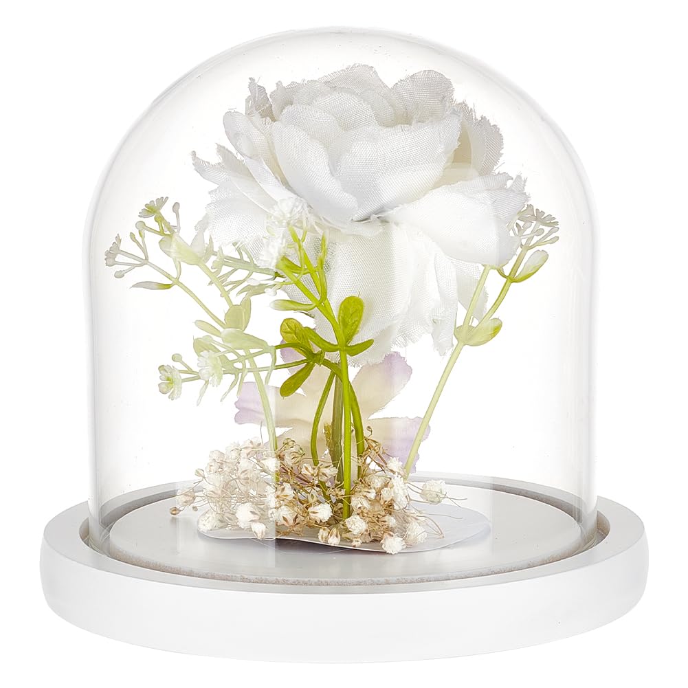 BENECREAT 12x12cm White Lacquered Glass Dome Cloche Wooden Display Dome, Clear Glass Cloche Bell Jar for DIY Flower Craft, Christmas Decorations