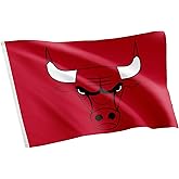 Desert Cactus Chicago Bulls Flag NBA 100% Polyester Indoor Outdoor 3x5 feet National Basketball Association Team Flags (Flag #1)
