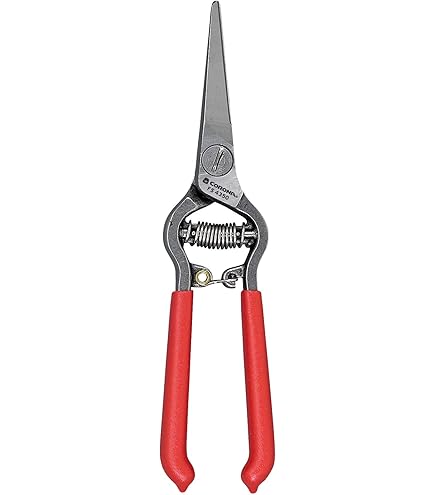 Amazon.com: Corona FS 4310 Bonsai & Orchids Mini Shear with Vinyl