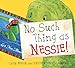 No Such Thing As Nessie!: A Loch Ness Monster Adventure (Picture Kelpies)