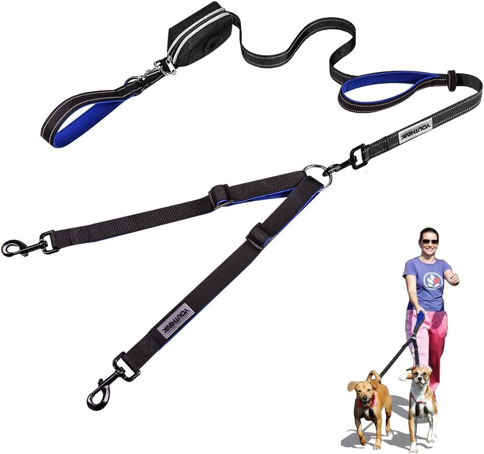 walking 2 dogs on leash