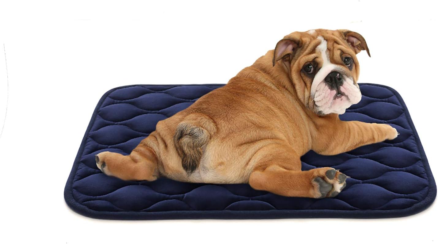 Dog mattress pad Clearance