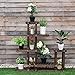 Giantex Flower Rack Plant Stand Multi Wood Shelves Bonsai Display Shelf Indoor Outdoor Yard Garden Patio Balcony Multifunctional Storage Rack Bookshelf W/Hollow-Out Rack (6 Wood Shelves 10 Pots)thumb 3