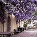 Lannu 12 Pack 3.6 FT Artificial Fake Hanging Wisteria Vine Ratta Silk Flowers String for Home Wedding Party Decor (Purple)