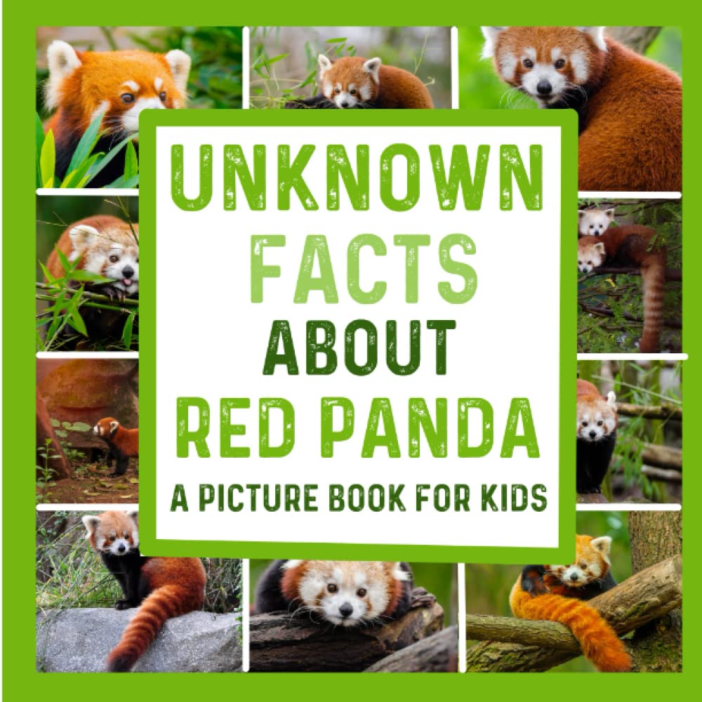Unknown Facts About The Red Panda A Colorful Picture Book For Kids Facts About The Red Panda Publications Tenysi Amazon Com Books