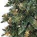 Best Choice Products 6ft Pre-Lit Hinged Fir Artificial Pencil Christmas Tree w/ 250 Warm White Lights, Foldable Stand, Green