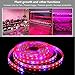LED Strip Light, Topled Light Plant Grow Light with Power Adapter, 5050 SMD Waterproof Full Spectrum Red Blue 4:1 Rope Lamp for Aquarium Greenhouse Hydroponic Plant Veg Garden Flowers (5 M)