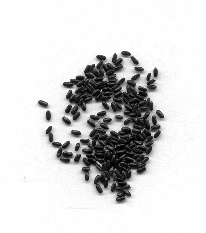 Lavanda 150 semillas - Lavandula angustifolia - planta de jardín ...