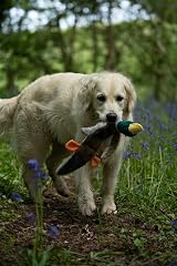 Petface Luxury Multi Squeak Duck Plush Dog Toy view 3
