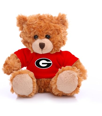 Amazon.com: Plushland Collegiate Jersey Bear 6” – Team Sports