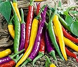 PLEASE READ! THIS IS A MIX!!! 30+ ORGANICALLY GROWN Cayenne Rainbow Mix Hot Pepper Seeds Heirloom NON-GMO Rare, Spicy, Rich Flavor, Productive, From USA