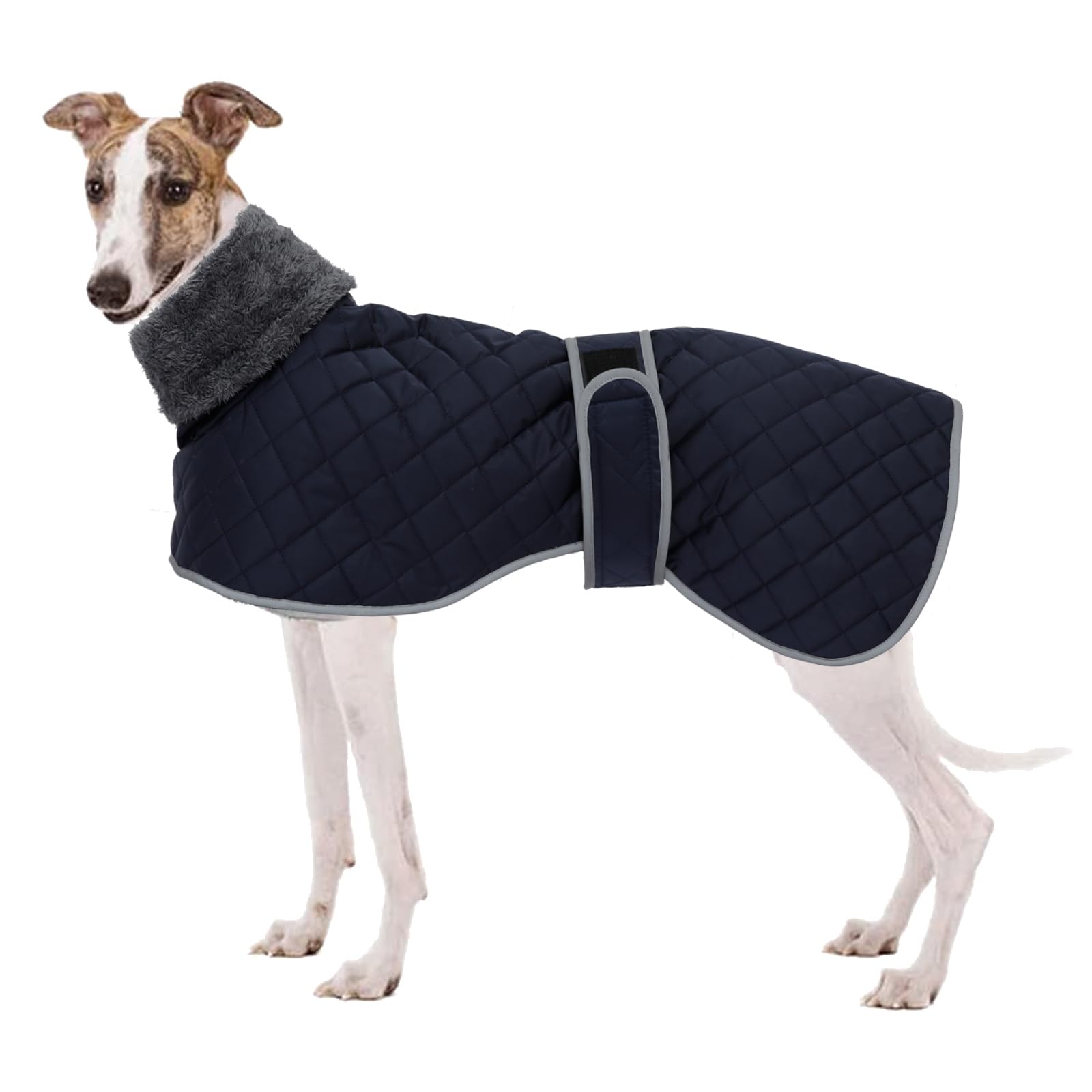 Geyecete Greyhound Fleece Jumper,Greyhound Dog Winter Coat,Whippet Winter Coat waterproof windproof Outdoor Dog Apparel for Whippet Lurcher Salukis-Blue-XS