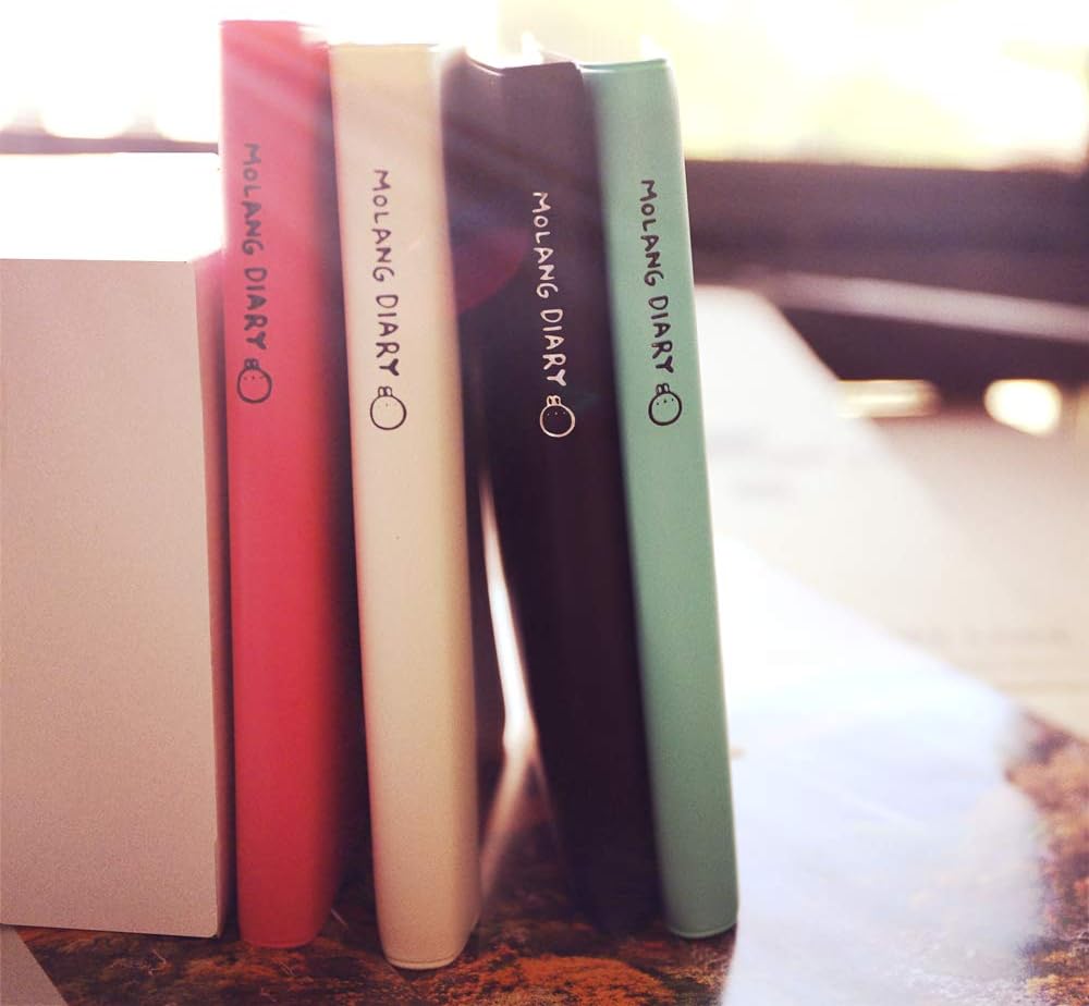 Haiker 2021-2022 Green "Molang Rabbit" Diary Any Year Planner Pocket Journal Notebook Agenda Scheduler with Buckle : Office Products