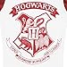 Harry Potter Girls Pajamas Hogwarts Size 12