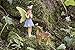 Joykick Fairy Garden Wishing Well Kit - Miniature Hand Painted Figurine Statues with Accessories - Set of 5pcs for Your House or Lawn Decor