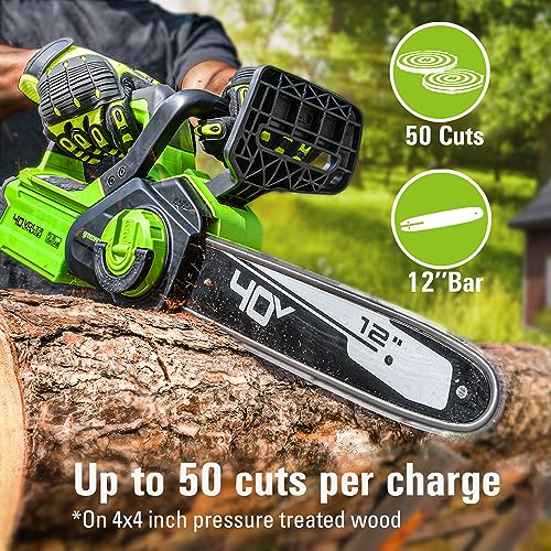 Greenworks 40V 12 in Cordless Electric Chainsaw, 2.0 Ah Battery and Charger photo 9