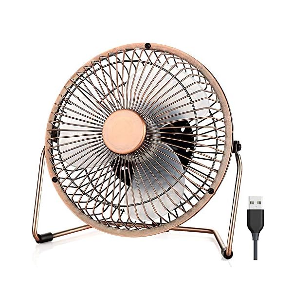 EasyAcc USB Desk Fan 6 Inch Desktop Silent Fan Air Circulator 2 Speeds 360° Rotation Brushless Motor Noiseless for Home…