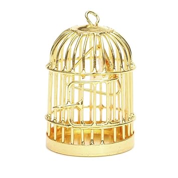 Naisicatar 1 Pcs Métal Oiseau Cage Birdcage Avec Oiseau
