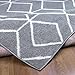 Antep Rugs Kashan King Collection Trellis Polypropylene Indoor Area Rug (Grey/Cream, 5' x 7')