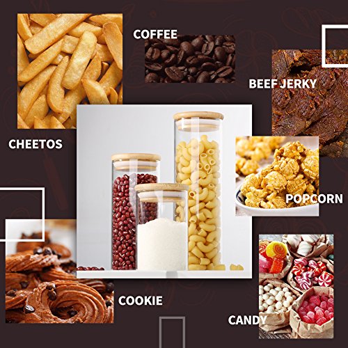 Tall Glass Jars - Wide Mouth Food Storage Containers with Leak Proof Lid Ideal Kitchen Accessories for Cookies, Flour, Dry Food Storage (3 Pack - 9oz, 14oz, 20oz) - Thumbnail 3