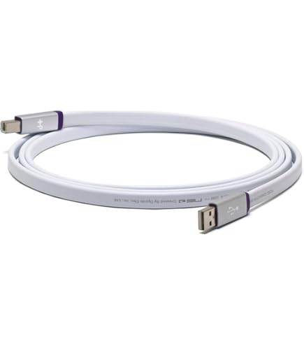 Amazon.com: Neo by Oyaide d+ USB (Class B) A to C - High