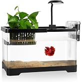 1.8 Gallon Beta Fish Tank Aquariums Kits - Clear Small Fish Bowl Starter Kit with LED Light, Water Filter Pump, Hydroponic Basket - Beginner's Gift for Guppy Shrimp Goldfish, Rectangular