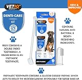 VETIQ Denti-Care Kit for Dogs 2+ Months & Cats 3+ Months Dental Care view 5